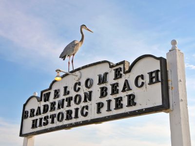 crane standing on bradenton beach historic pier welcome sign